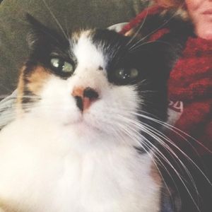 Meet your Posher, Virginia